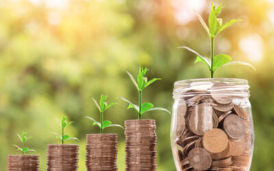 Organizing Your Investments