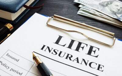 What is the Difference between Whole and Term Life Insurance?