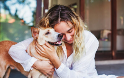 How to Make Sure Your Pets are Taken Care of In an Emergency